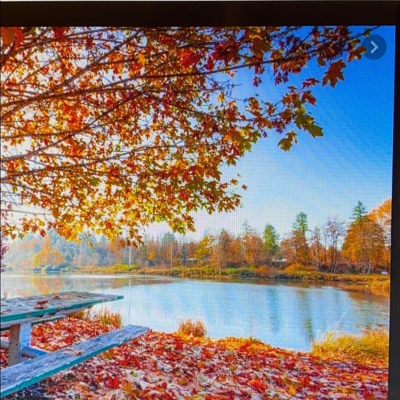 Fall Category Items For Sale! Bundle!!